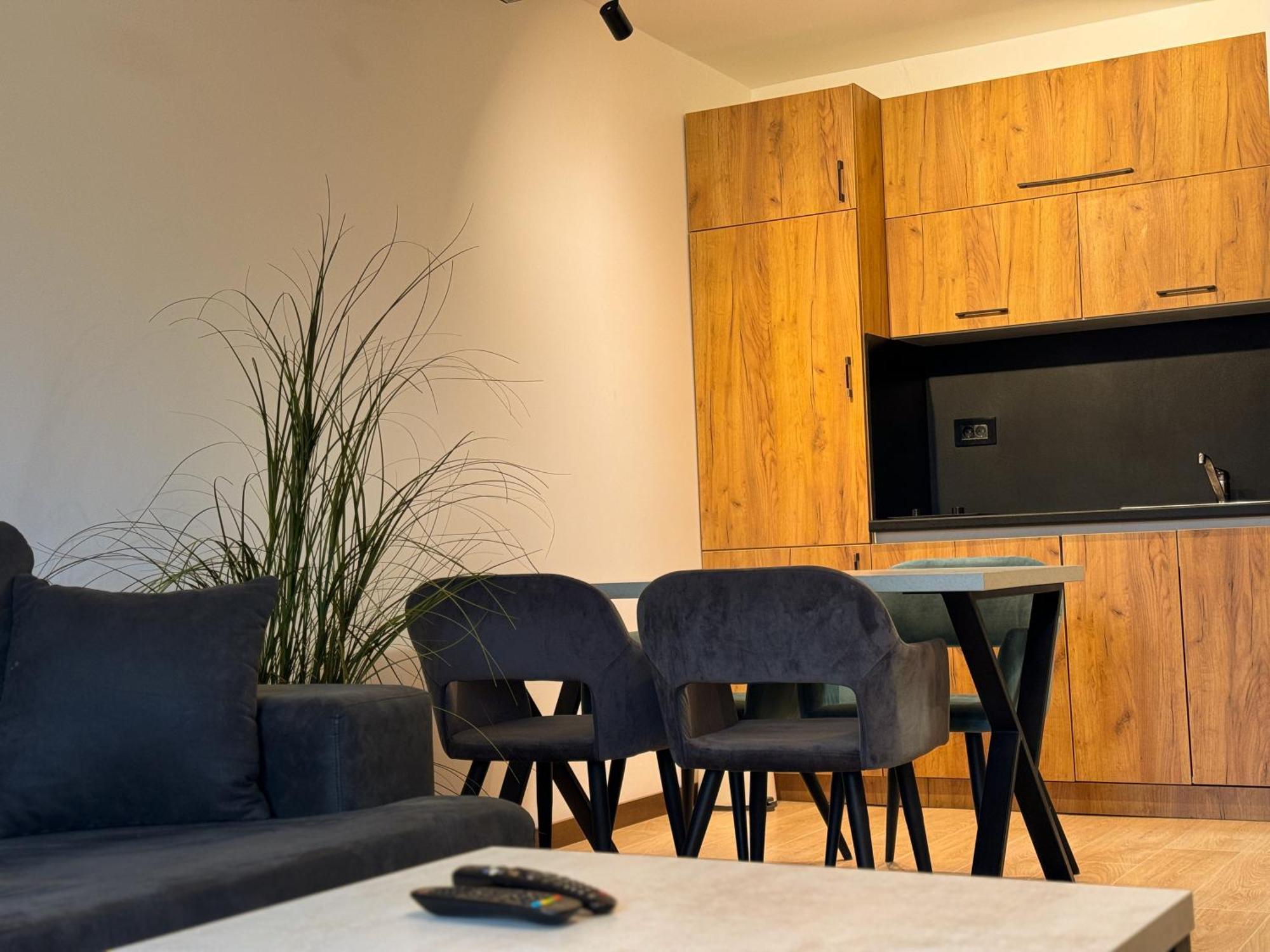 Vip Apartments קופאוניק מראה חיצוני תמונה